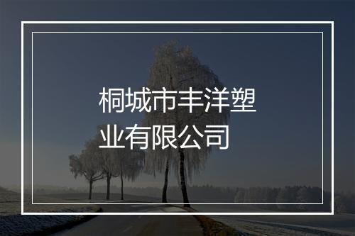 桐城市丰洋塑业有限公司