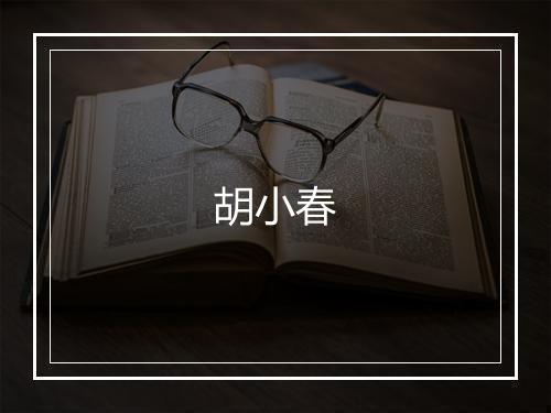 胡小春