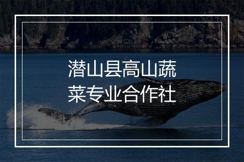 潜山县高山蔬菜专业合作社