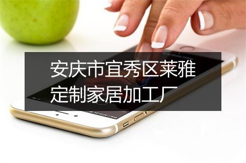 安庆市宜秀区莱雅定制家居加工厂