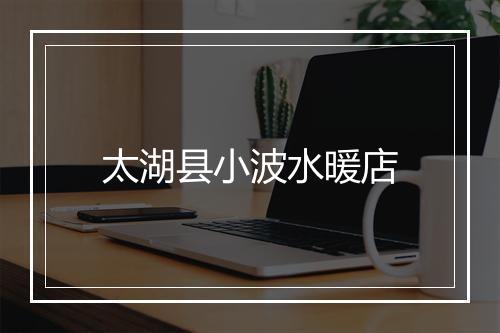 太湖县小波水暖店