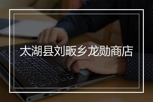 太湖县刘畈乡龙勋商店