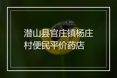 潜山县官庄镇杨庄村便民平价药店