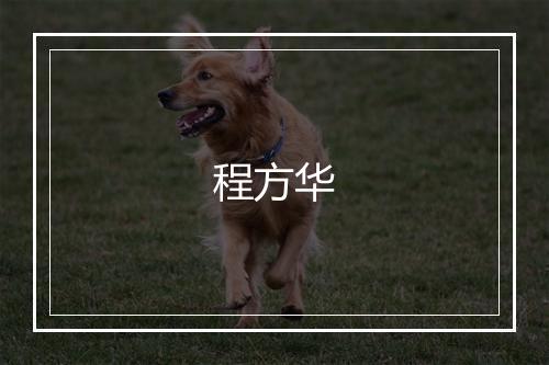 程方华
