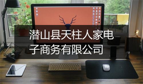 潜山县天柱人家电子商务有限公司