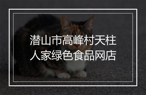 潜山市高峰村天柱人家绿色食品网店
