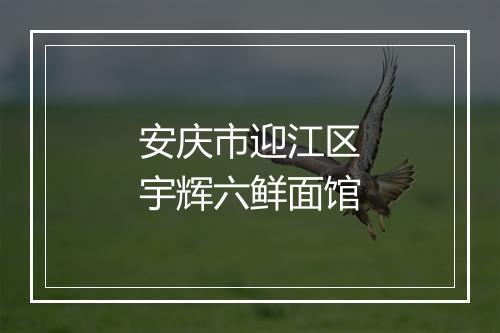 安庆市迎江区宇辉六鲜面馆