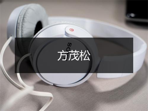 方茂松