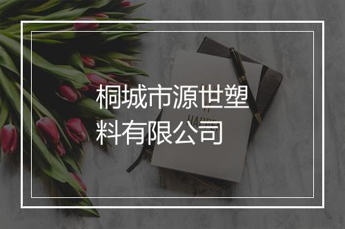 桐城市源世塑料有限公司
