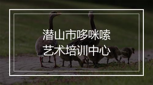 潜山市哆咪嗦艺术培训中心
