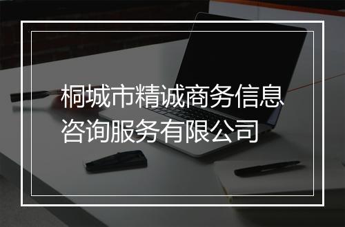 桐城市精诚商务信息咨询服务有限公司