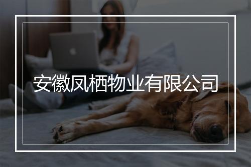 安徽凤栖物业有限公司