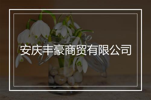 安庆丰豪商贸有限公司