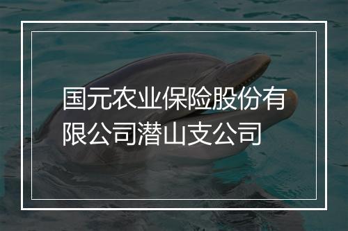 国元农业保险股份有限公司潜山支公司