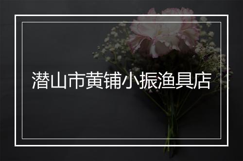 潜山市黄铺小振渔具店