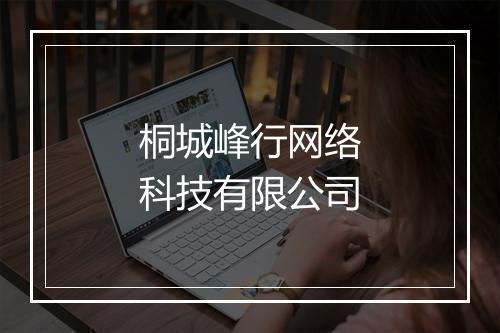 桐城峰行网络科技有限公司