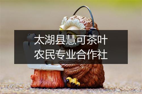太湖县慧可茶叶农民专业合作社