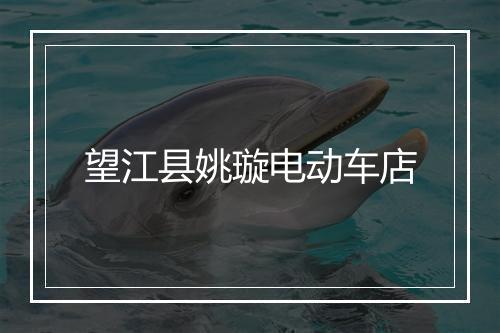 望江县姚璇电动车店