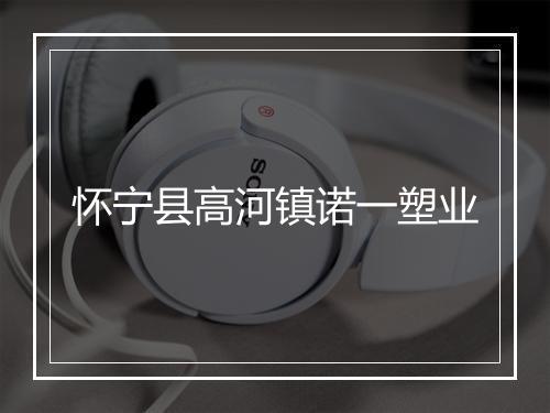 怀宁县高河镇诺一塑业
