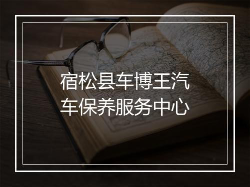 宿松县车博王汽车保养服务中心