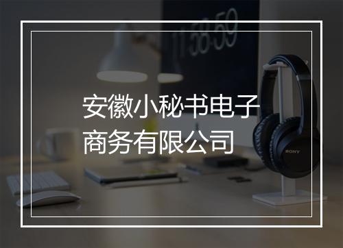安徽小秘书电子商务有限公司
