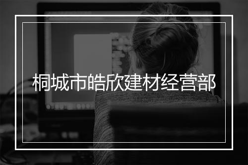 桐城市皓欣建材经营部