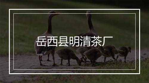 岳西县明清茶厂