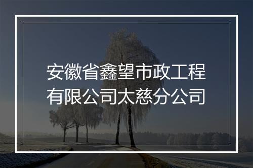 安徽省鑫望市政工程有限公司太慈分公司