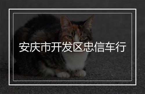 安庆市开发区忠信车行