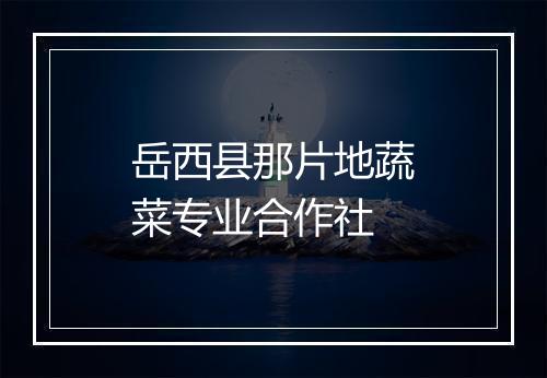 岳西县那片地蔬菜专业合作社