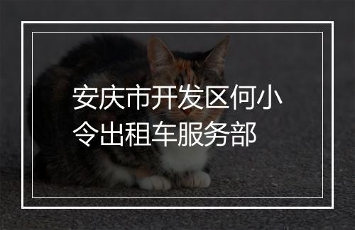 安庆市开发区何小令出租车服务部
