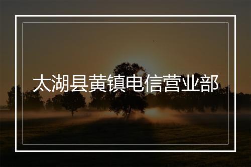 太湖县黄镇电信营业部