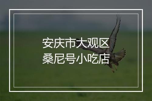 安庆市大观区桑尼号小吃店