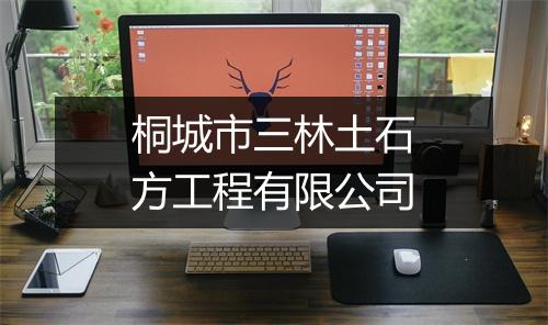 桐城市三林土石方工程有限公司