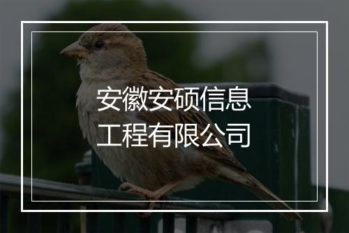 安徽安硕信息工程有限公司