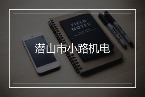 潜山市小路机电