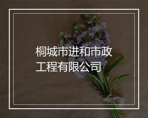 桐城市进和市政工程有限公司