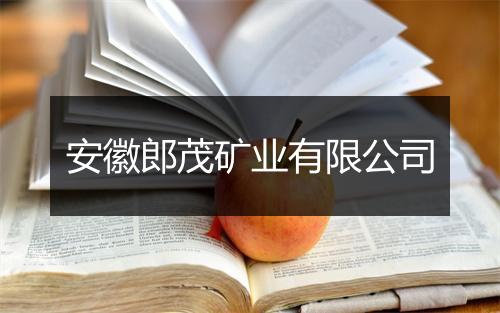 安徽郎茂矿业有限公司