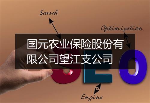 国元农业保险股份有限公司望江支公司