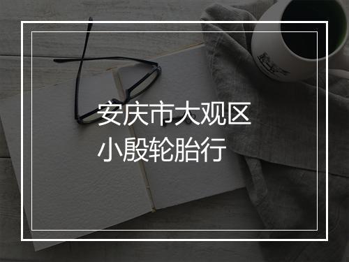 安庆市大观区小殷轮胎行