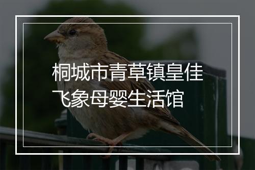 桐城市青草镇皇佳飞象母婴生活馆