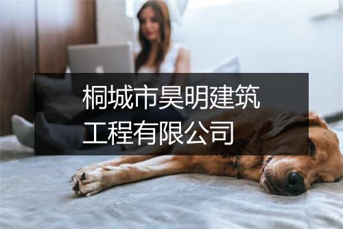桐城市昊明建筑工程有限公司