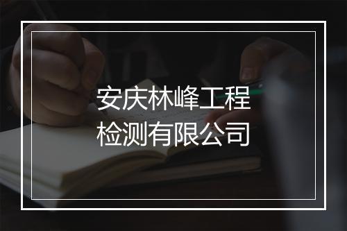 安庆林峰工程检测有限公司