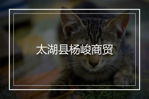 太湖县杨峻商贸