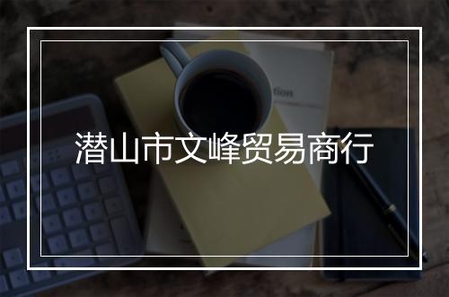 潜山市文峰贸易商行