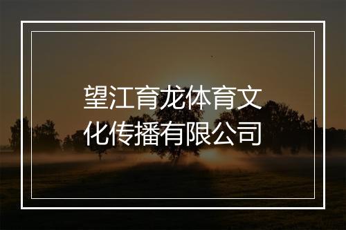 望江育龙体育文化传播有限公司