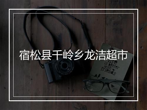 宿松县千岭乡龙洁超市