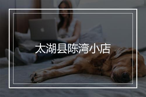 太湖县陈湾小店
