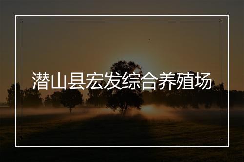 潜山县宏发综合养殖场
