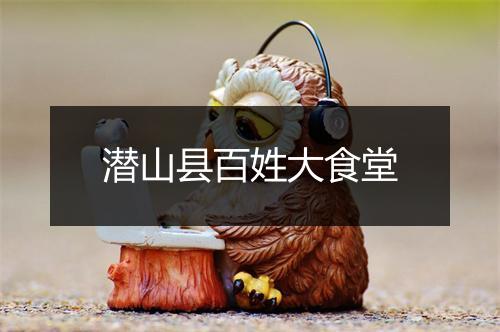 潜山县百姓大食堂